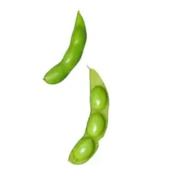 Cilindros - Balaguer Rolls - Para aplicar en aceite